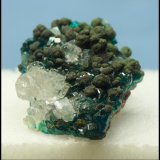 Calcite, Mottramite, Dioptase
30 x 22 x 10 mm
(Autor: Pierre Joubert)