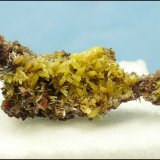 Mimetite
41 x 20 x 15 mm
(Autor: Pierre Joubert)