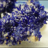 Azurite, Calcite, Malachite
28 x 18 x 12mm
(Autor: Pierre Joubert)