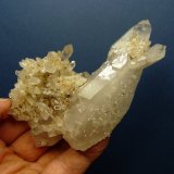 Quartz
112 x 73 x 43 mm
(Autor: Pierre Joubert)
