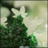 Cerussite, adamite and duftite
80 x 57 x 50 mm
(Autor: Pierre Joubert)
