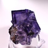 Fluorite, Sphalerite, Calcite, Pyrite
54 mm x 47 mm x 31 mm
(Autor: Don Lum)