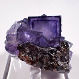 Fluorite, Sphalerite, Calcite, Pyrite
54 mm x 47 mm x 31 mm
(Autor: Don Lum)
