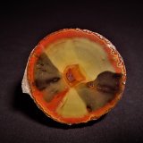 Quartz (variety chalcedony, variety agate)
49 mm x 46 mm
(Autor: Don Lum)