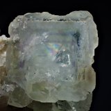 Fluorite
37 mm x 28 mm x 28 mm
(Autor: Don Lum)