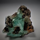 Phosphophyllite, Siderite, Pyrite
48 mm x 38 mm x 8 mm
(Autor: Don Lum)