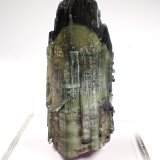 Elbaite (Tourmaline Group)
60 mm x 26 mm x 25 mm
(Autor: Don Lum)