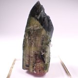Elbaite (Tourmaline Group)
60 mm x 26 mm x 25 mm
(Autor: Don Lum)
