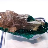 Cerussite, Dioptase
39 mm x 23 mm x 16 mm
(Autor: Don Lum)