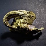Gold
20 mm x 15 mm x 8 mm
(Autor: Don Lum)