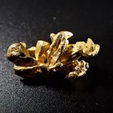 Gold, Paladium
23.8 mm x 12.7 mm x 7.4 mm
(Autor: Don Lum)