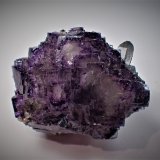 Fluorite, Quartz
43 mm x 37 mm x 30 mm
(Autor: Don Lum)