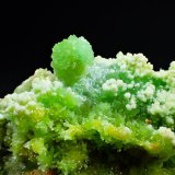 Mimetite, Pyromorphite
98 mm x 57 mm x 32 mm
(Autor: Don Lum)