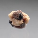 Kimzeyite, Perovskite, Albite
11mm x 11mm x 7mm
(Autor: Don Lum)