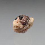 Kimzeyite, Perovskite, Albite
11mm x 11mm x 7mm
(Autor: Don Lum)