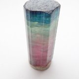 Elbaite (Tourmaline Group)
3.1cm x  1.4 cm
(Autor: texasdigger)