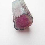 Elbaite (Tourmaline Group)
3.1cm x  1.4 cm
(Autor: texasdigger)
