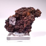 Fluorite
45 mm x 31 mm x 21 mm
(Autor: Don Lum)