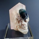 Spodumene (variety kunzite), Indicolite (Tourmaline Group), Albite
65 mm x 35 mm x 40 mm
(Autor: Don Lum)