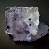 Fluorite
44 mm x 38 mm x 22 mm
(Autor: Don Lum)