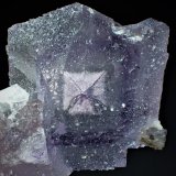 Fluorite
44 mm x 38 mm x 22 mm
(Autor: Don Lum)