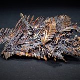 Copper, Cuprite
62 mm x 25 mm 16 mm
(Autor: Don Lum)