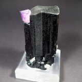 Schorl (Tourmaline Group), Quartz (variety amethyst)
115 mm x 80 mm x 65 mm
(Autor: Don Lum)
