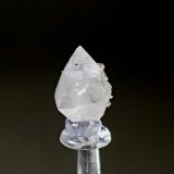 Powellite, Scolecite
11mm x 7mm x  6mm
(Autor: Don Lum)