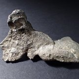 Silver
76 mm x 38 mm x 30 mm
(Autor: Don Lum)