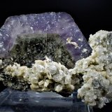 Apatite, Siderite
61 mm x  32 mm x 38 mm
(Autor: Don Lum)