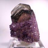 Calcite, Quartz (variety amethyst), Hematite
182 mm x 123 mm x 95 mm
(Autor: Don Lum)