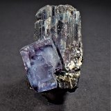 Fluorite, Wolframite, Quartz (variety smoky quartz)
40 mm x 33 mm x 20 mm
(Autor: Don Lum)