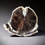 Quartz (variety blue chalcedony)
110 mm x 92.5 mm x 80 mm
(Autor: Don Lum)