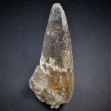 Quartz (tessin habit)
120 mm x 55 mm x 44 mm
(Autor: Don Lum)
