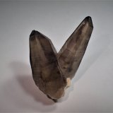 Quartz  (variety smoky quartz / variety tessin habit)
47 mm x 38 mm x 24 mm
(Autor: Don Lum)