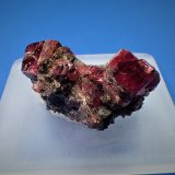Pyroxmangite
22 mm x 17 mm x 10 mm
(Autor: Don Lum)