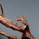 Copper
124mm x 48mm x 10mm
(Autor: Don Lum)