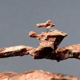 Copper
124mm x 48mm x 10mm
(Autor: Don Lum)
