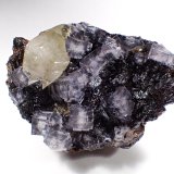 Fluorite, Calcite, Sphalerite
150 mm x 109 mm
(Autor: Don Lum)