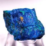 Gold, Shattuckite, Malachite
47 mm x 39 x mm x 32 mm
(Autor: Don Lum)