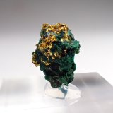Gold, Malachite
12 mm x 8 mm x 6mm
(Autor: Don Lum)