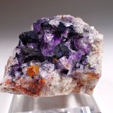 Covellite, Fluorite
62 mm x 59 mm x 42 mm
(Autor: Don Lum)