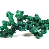 Malachite (variety fibrous malachite)
86 mm x 46 mm x 10mm
(Autor: Don Lum)