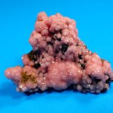 Rhodochrosite, Ilvaite
56 mm x 35 mm x 30 mm
(Autor: Don Lum)