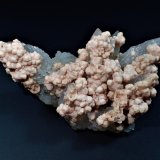 Rhodochrosite after Aragonite, Quartz, Pyrite
55 mm x 45 mm x 22 mm
(Autor: Don Lum)