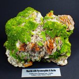 Pyromorphite on Fluorite, Baryte
155 mm x 96 mm x 75 mm
(Autor: Don Lum)