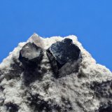 Bixbyite
31 mm x 22 mm x 9 mm
(Autor: Don Lum)
