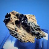 Andradite (variety melanite garnet)
26 mm x 16 mm x 15 mm
(Autor: Don Lum)