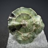 Wavellite
30 mm x 29 mm x 31 mm
(Autor: Don Lum)