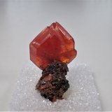 Wulfenite
24 mm x 21 mm x 11 mm
(Autor: Don Lum)